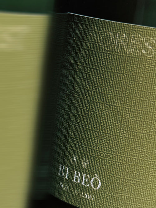 DEEP FOREST CANDLE [8OZ]