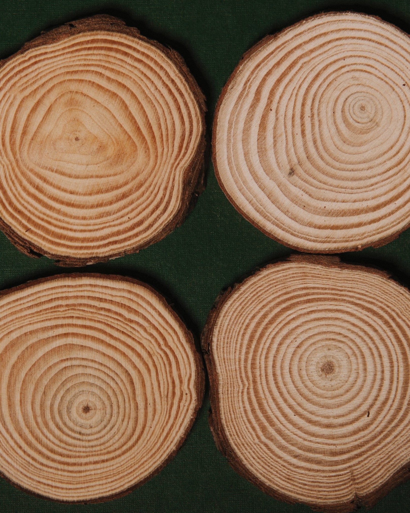 DEEP FOREST